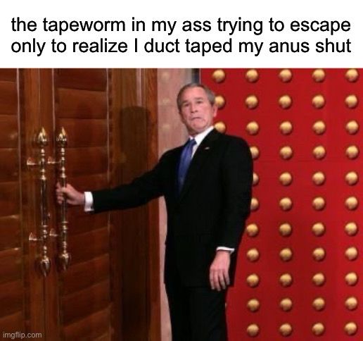 Meme text: The tapeworm in my ass trying to escape only to realize I duct taped my anus shut.
Image: George Bush holding a door handle and making a weird scrunched up face, like a real Kermit the Frog look