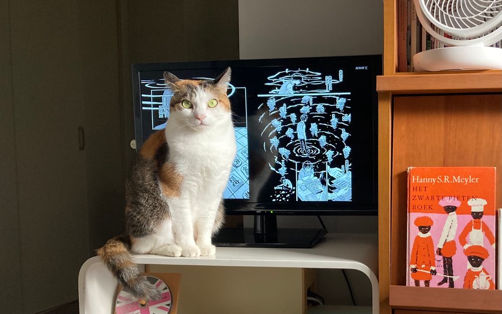 テレビの前で座っている猫