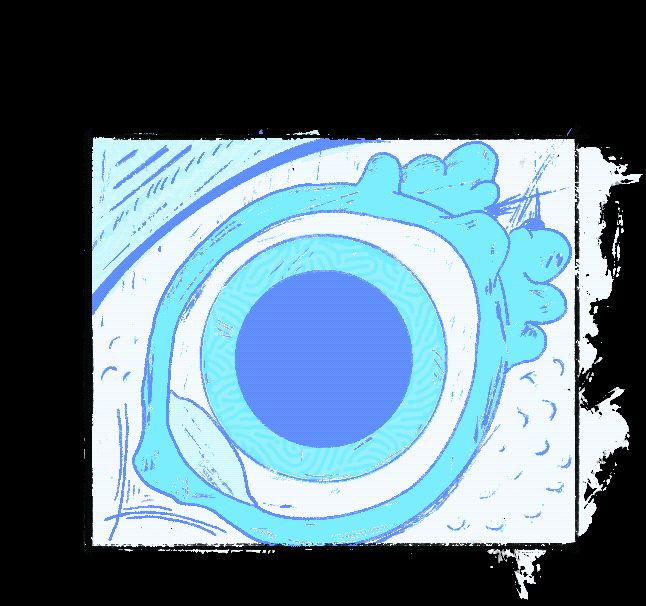 2D animation of a Nictitating membrane on a bird's eye
