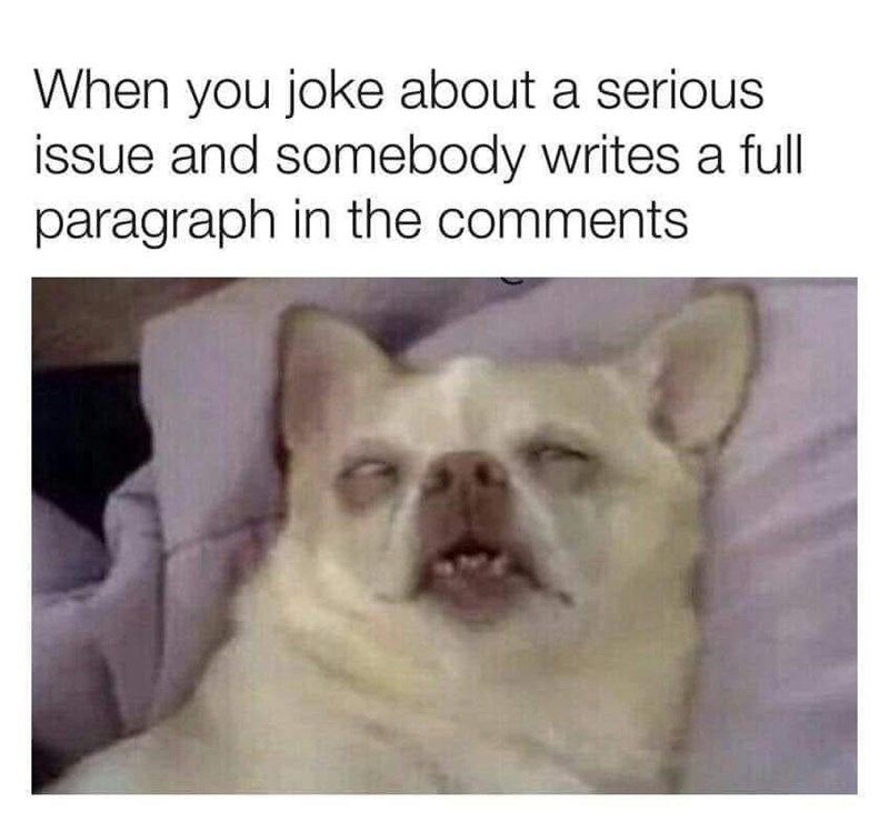 When you joke about a serious issue and somebody writes a full paragraph in the comments, boring your chihuahua to death. That's what I like.