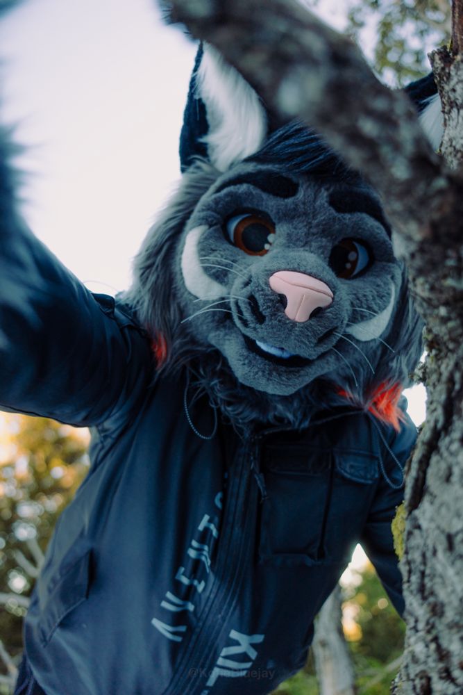 A lynx fursuiter looking at you from above, imposing dominance with a cute smile 