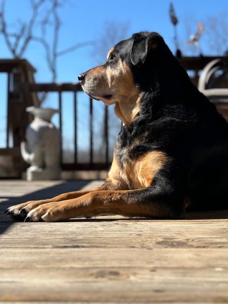 Lady in the sunshine 