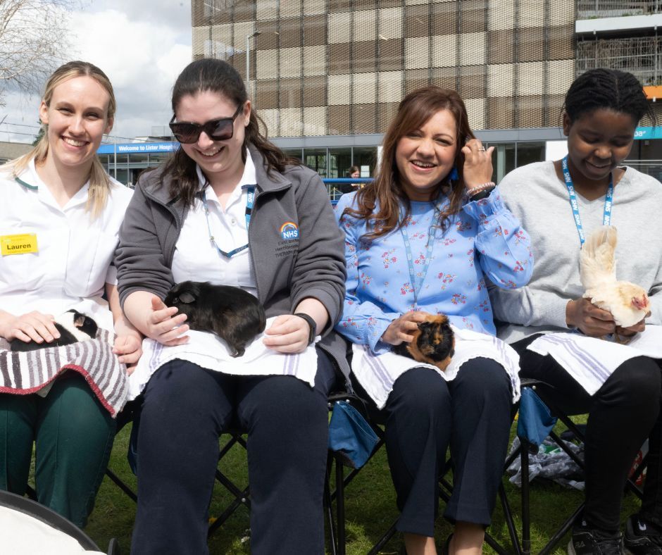 Four hospital staff members sit with an animal each; three guinea pigs and a chicken