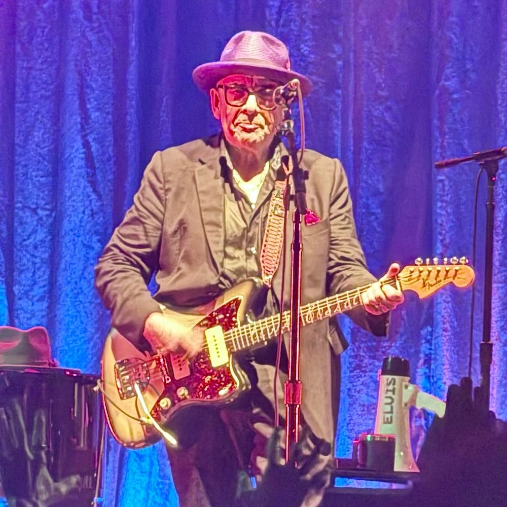 Elvis Costello playing guitar. 