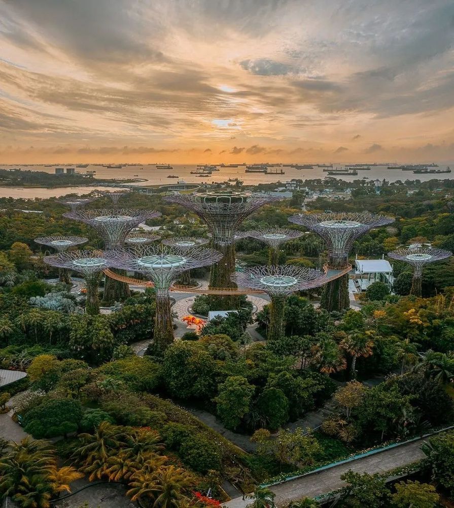 Descubre la magia de Gardens by the Bay en Singapur 🌅✨. Camina entre “árboles” futuristas y siente cómo la naturaleza y la innovación se funden en cada paso.  
#Singapore #TravelDreams

#QuieroEstarAhi y #QuieroViajar