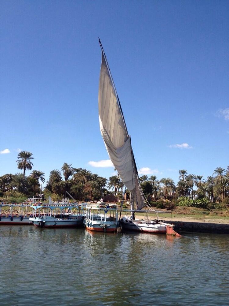 Navega por el mítico Nilo en una feluca tradicional y déjate envolver por la magia y el exotismo de Egipto 🌴⛵ Vive una experiencia única. 
¿Te animas? Escríbeme por DM para más info o cotización. #Egipto #ViajesInolvidables

✈️🚢🚂 #viajes #travel #QuieroEstarAhi