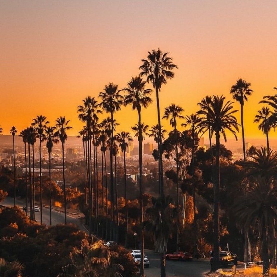 Atardecer dorado entre palmeras y colinas, con la ciudad al fondo. Un instante perfecto para perderse y dejarse llevar por el ritmo californiano. 🌴✨  
#TravelDreams #SunsetVibes

#QuieroEstarAhi y #QuieroViajar