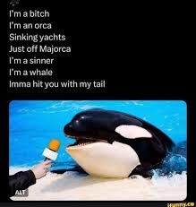 Comment image