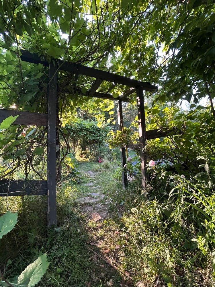 A path into a garden framed by a wooden arbor and greenery. 