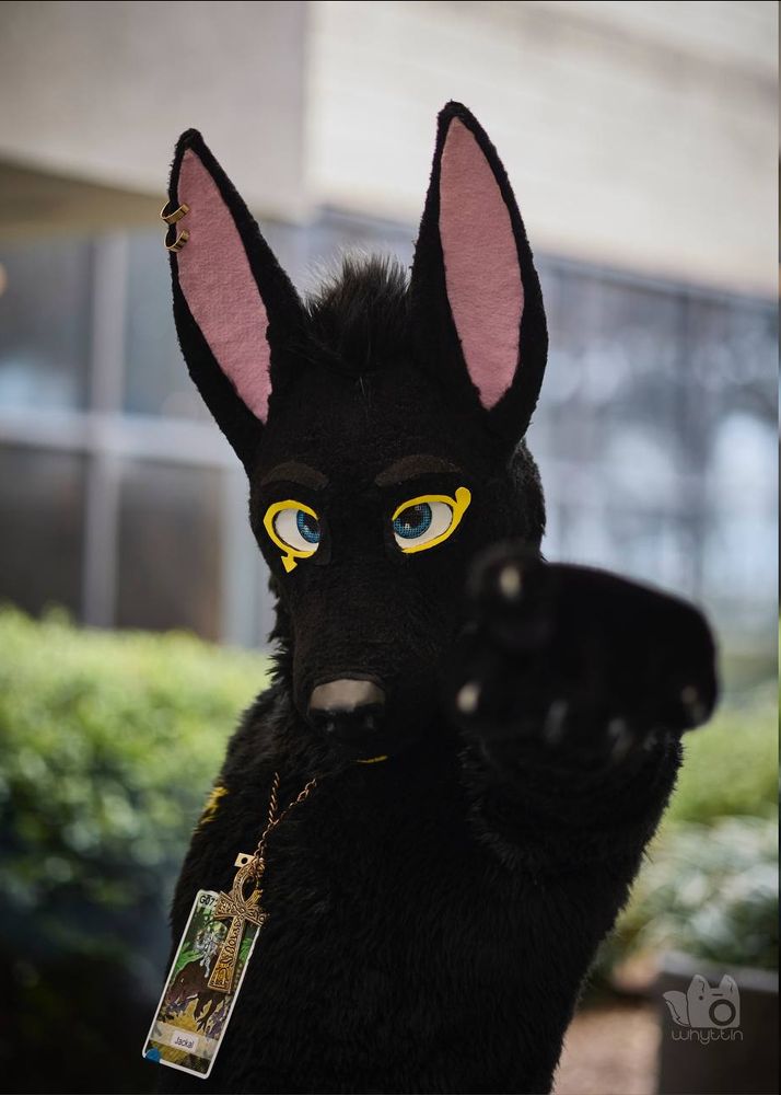 A fursuiter pointing at you.