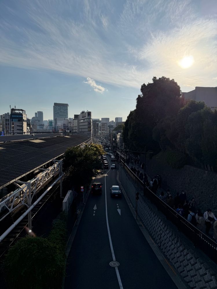 A view overlooking some of the Ueno platforms and the street below. 