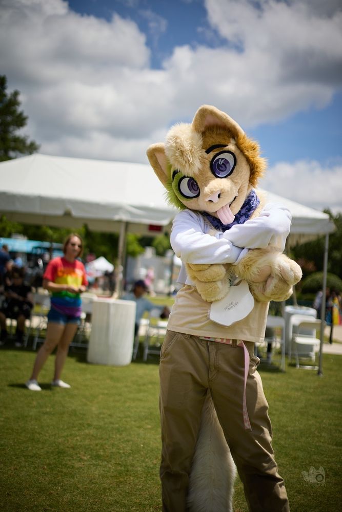 A cat partial suiter posing for the camera with hands crossed. 
