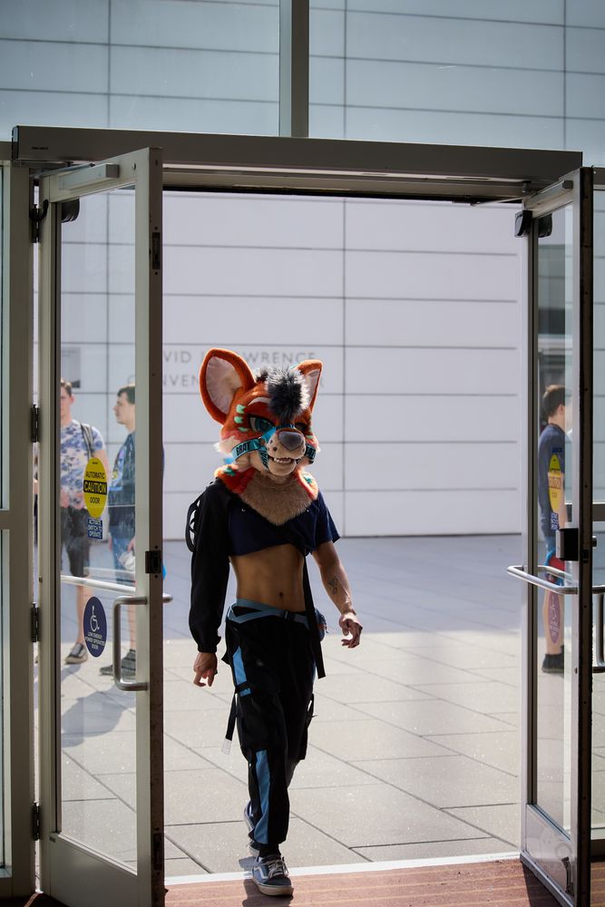 A snowleopard-wolf hybrid partial suiter walking through the doors, illuminated from behind.