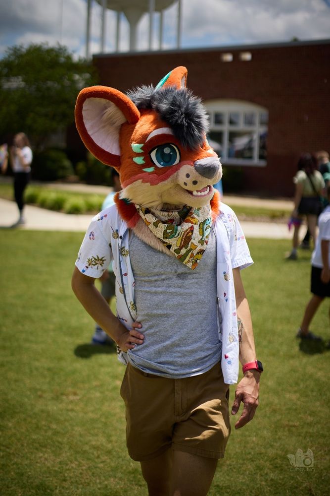 A partial fursuiter posing for the camera in a grass area. 