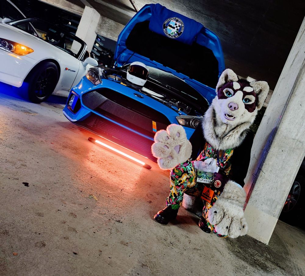 An alaskan malamute fursuit with purple pawpads and nose and blue eyes. They are posing at the ProjectF car meet at Howl 2024.