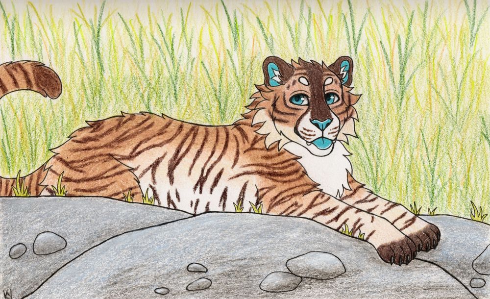 A traditionally drawn fullbody of a tiger character. They have warm toned brown fur, with ombres into cream and white fur, as well as dark brown stripes and paws. They have dark teal coloured eyes, tongue, and inner ears. They are lounging on silver rocks with a grassy savannah background.