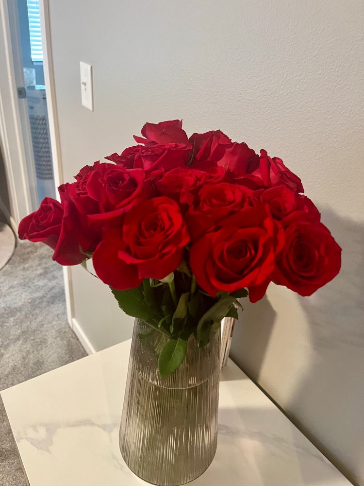 Two dozen red roses