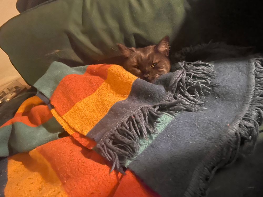 A pile of a woolplait with blue yellow orange teal block stripes on a dark green velvet sofa. Only a sleepy slightly grumpy looking head of a black cat is poking out. 