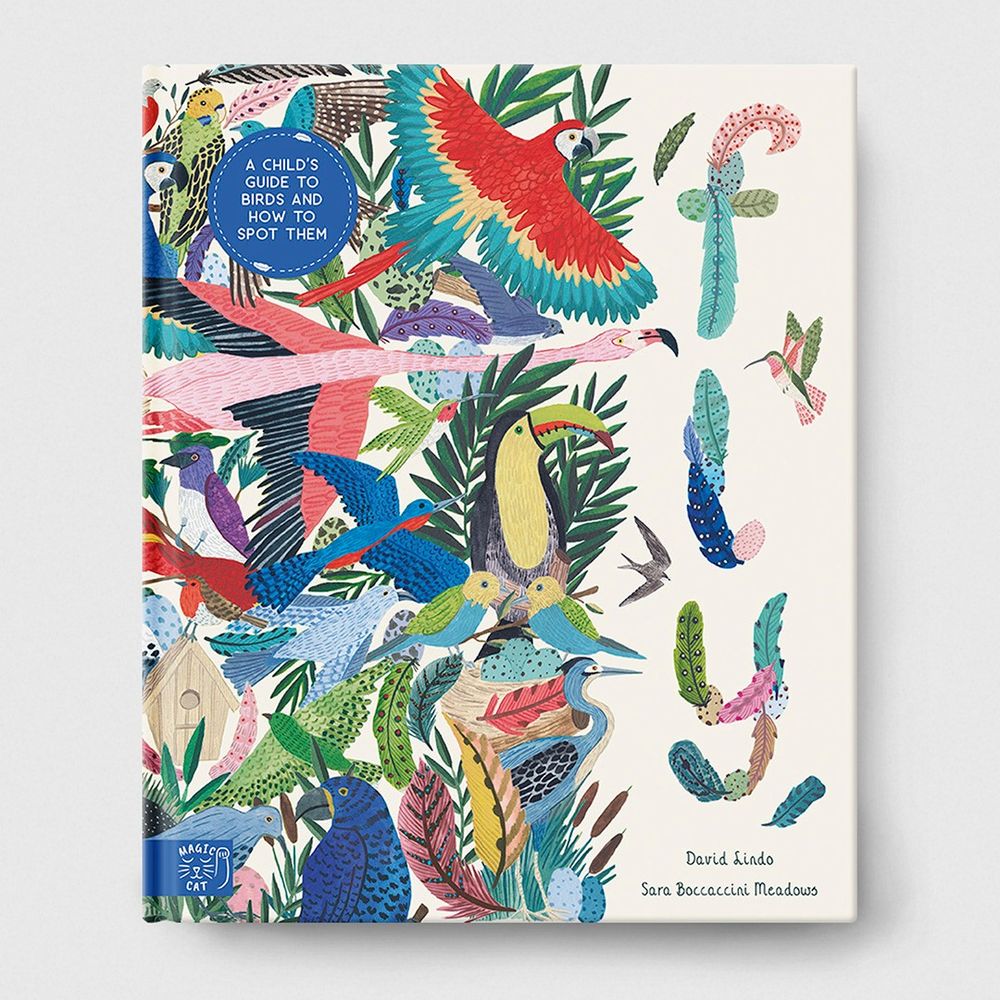 Fly by David Lindo. Shows book cover with different colourful birds on it and the word Fly written in feathers.