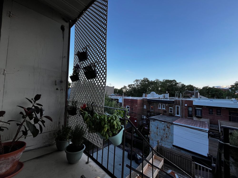 A photo of OP’s POV overlooking a Montreal alley behind an apartment on the third floor.