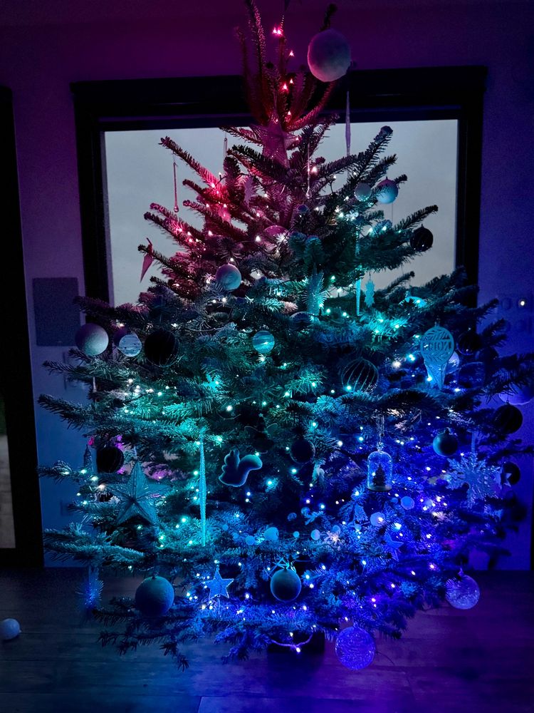 Sapin une n’aie vitrée, dans l’obscurité. des guirlandes lumineuses, couleurs bleu froid vers le bas est blanches vers le haut. Un mélange de voiles et de flocons verticaux , transparents et blancs.