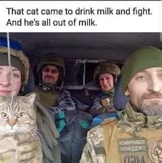 Comment image