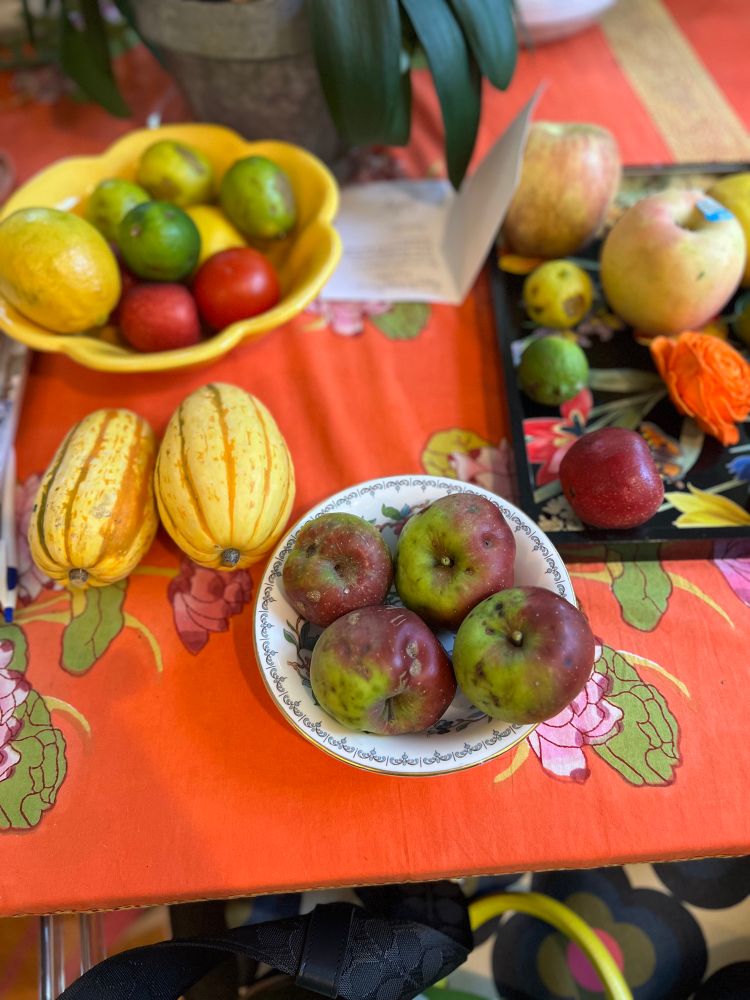 Several bowls and platters of fruit and squash are laid out on an orange tablecloth. They look ok except for the small apples on front which appear to be riddled with deformations typical of apples grown without pesticides