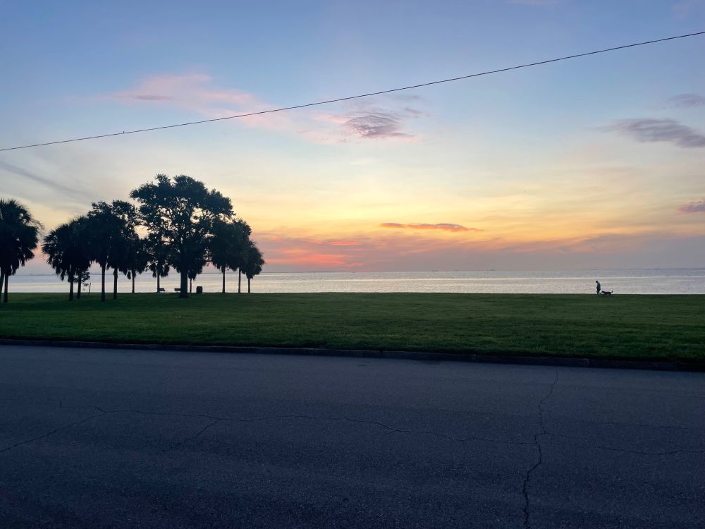 Sunrise at a park by the bay with palm trees in silhouette