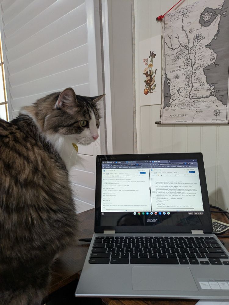 A dumb, fat cat sitting on a desk while a writer tries to write on their laptop