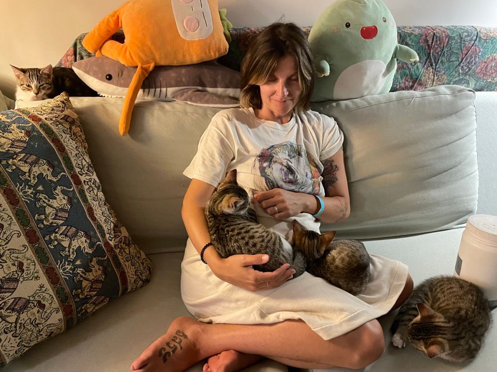 Four cute kittens sleeping