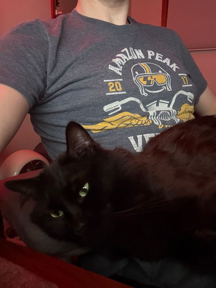 A black cat laying on my lap