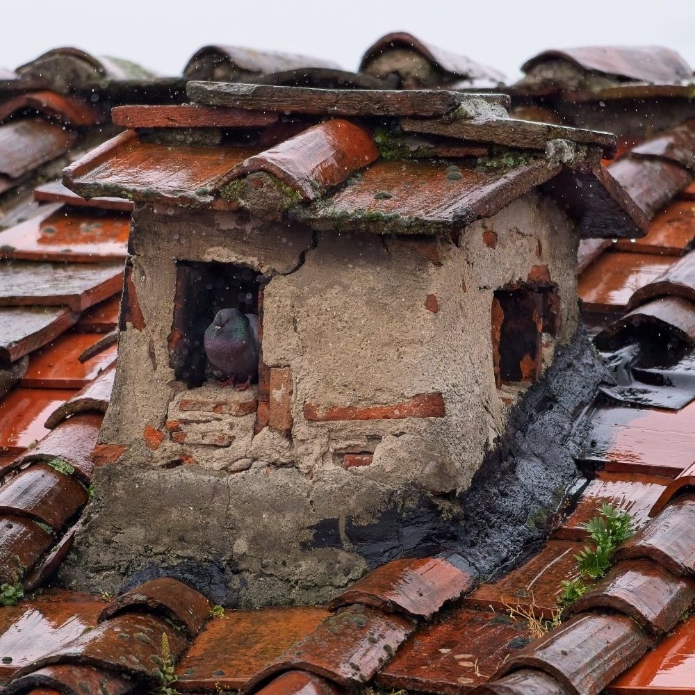 A pigeon sits inside an old Italian chimney crown, made of bricks and mortar with a nice tile roof. Hundreds of little raindrops appear frozen in the air all around, but the pigeon is puffy and dry.