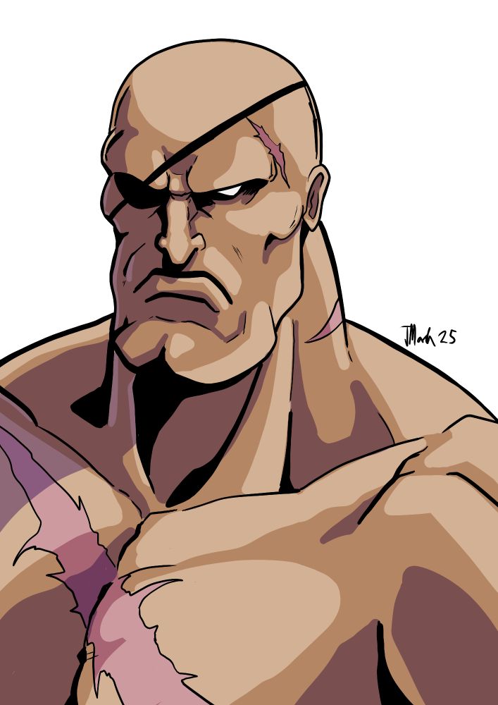 art of Street Fighter's Sagat