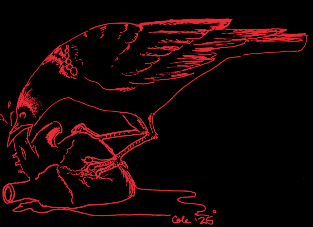 Crow in red, perched on an anatomical human heart