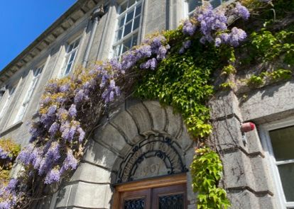 an old building with climbing plants around the door with purple flowers. The sign above the door says school of botany 1907