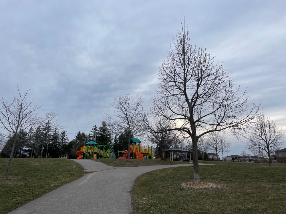 Park with playground in background, with green grass