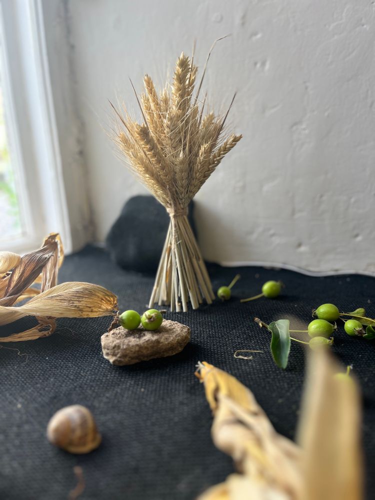 Close up image of a range of small, natural bits and pieces - a snail shell, crab apples, stones, dried sweetcorn - and a small sheave of corn 
