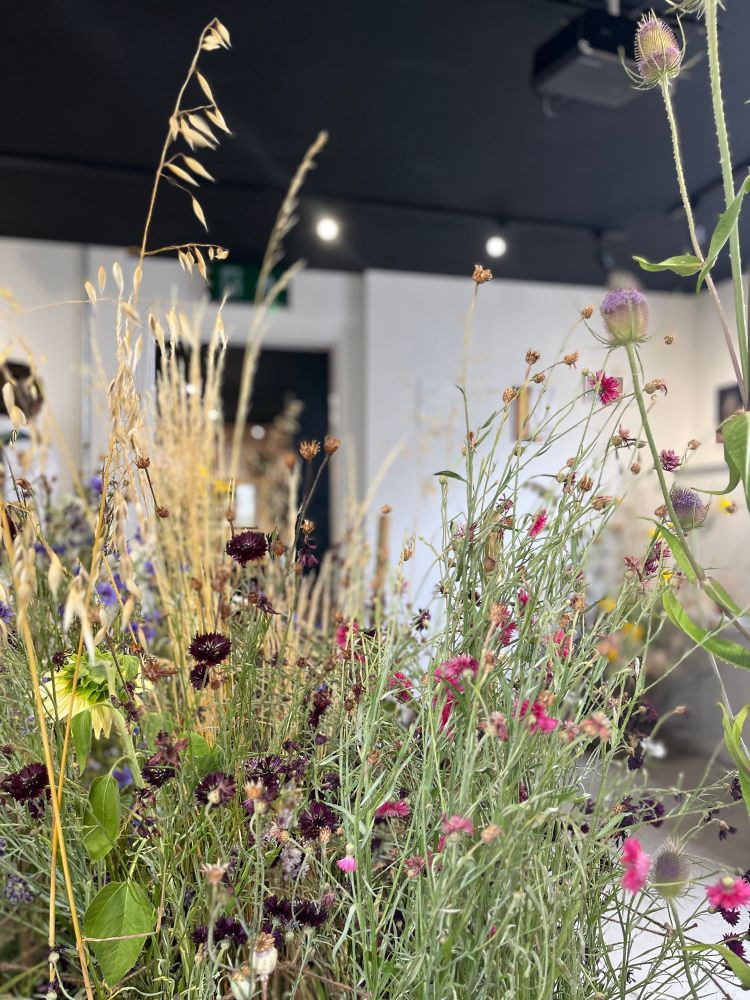 A view of a gallery through a tangle of flowers