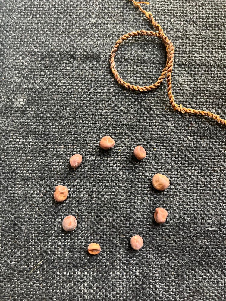 An arrangement of seeds and handmade twine on a black hessian background