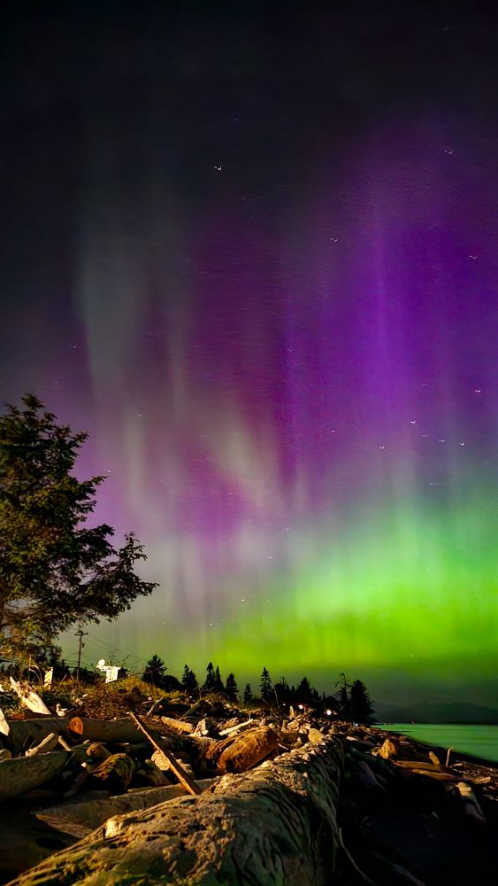 Sitting on the beach enjoying Mother Nature put on a light show. The aurora was a mix of green magenta and wisps of silver. 
