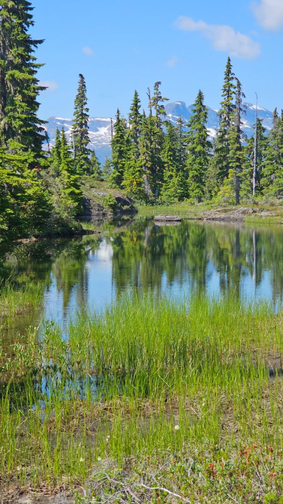 A beautiful tarn in the subalpine