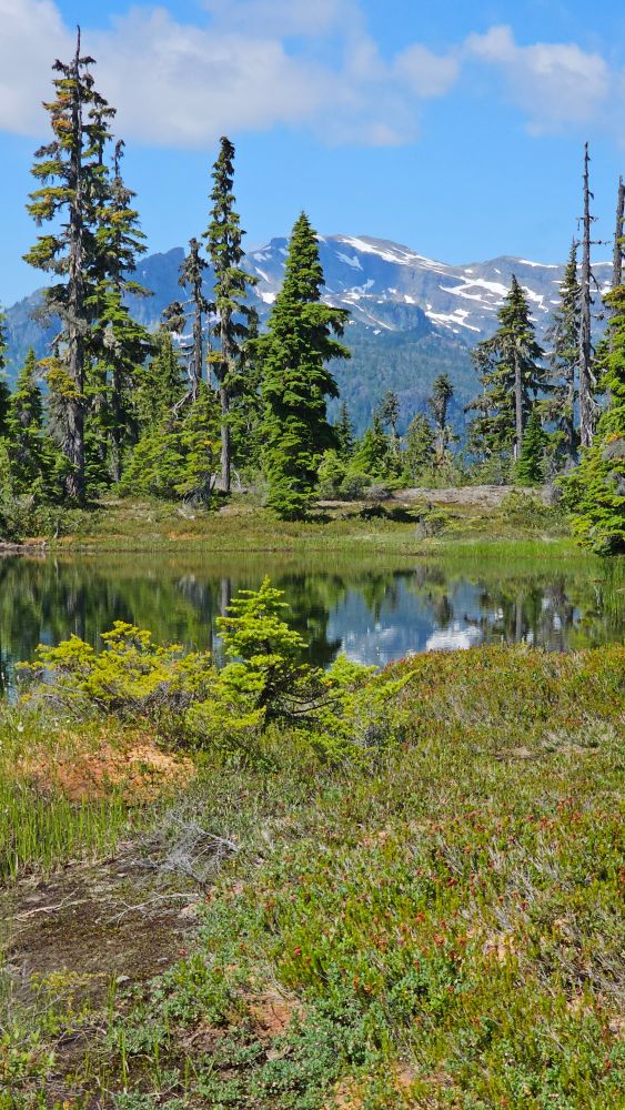 Beautiful tarns under the mountains in the subalpine