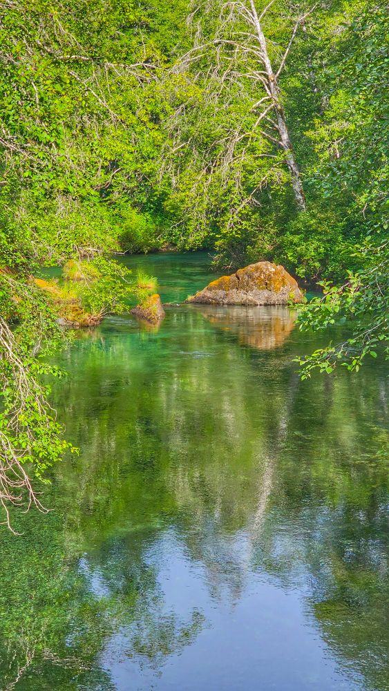 Had to stop for a pic of this beautiful little creek with gorgeous shades of green