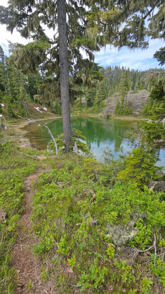We explored a few emerald green lakes today.