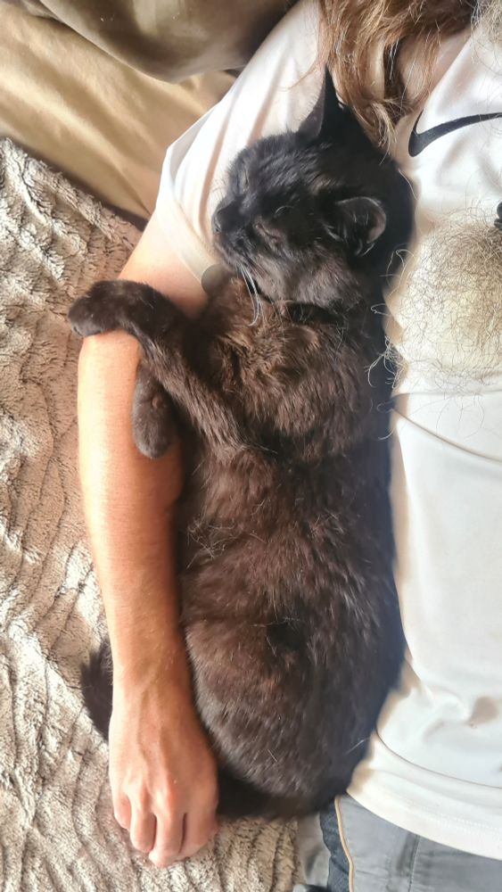 an overhead view of a black cat laid the length of a man's right arm, snuggled into the gap between the man's arm and torso. his back legs and tail are tucked underneath the man's forearm, and his front paws are neatly crossed over the man's inner elbow. his sleeping head is resting on the man's upper arm 