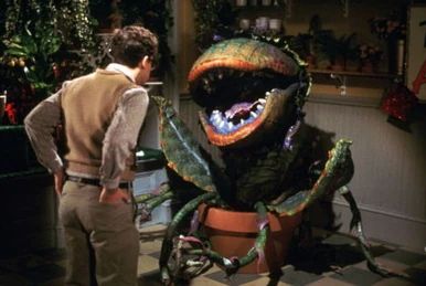 Rick Moranis face to face with a puppet of a giant talking carnivorous plant in Little Shop of Horrors