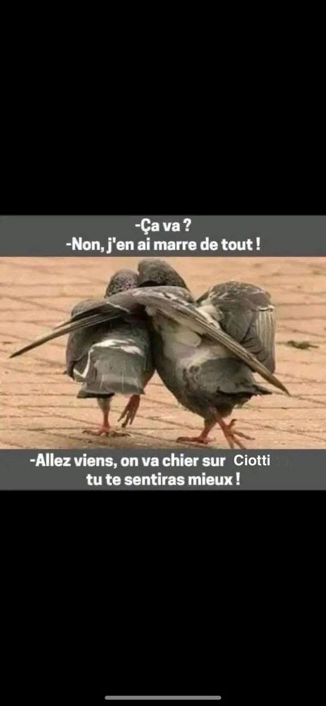 Comment image
