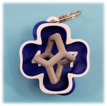 A 3D printed molecular model of the molecule twistane.