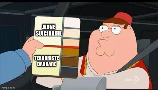 Un homme (personnage de la série Family Guy) semble arrêté au volant par un agent de police. Le point de vue de l'image est celui de cet agent qui tient un nuancier de couleur beige à côté de la tête du personnage, qui va du blanc jusqu'au noir. Une ligne rouge sépare les couleurs en deux moitiés : les blancs et beige sont regroupées sous l'appellation "jeune suicidaire", les marron clair à noir "terroristes barbares".