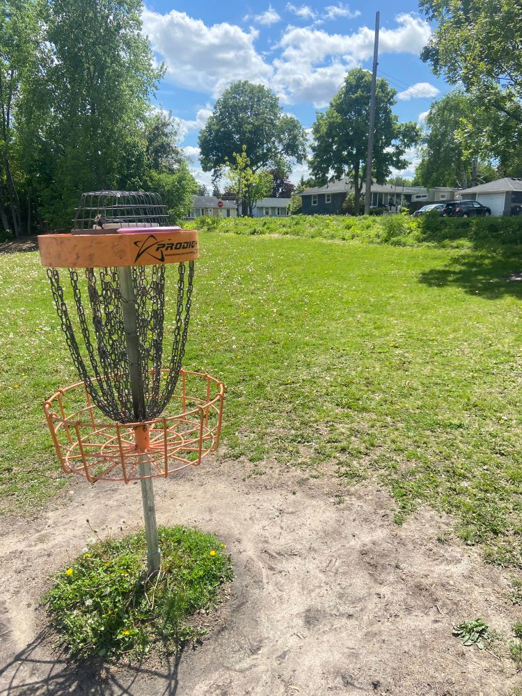 disc golf basket surrounded by vibrant green grass and a sunny blue sky with trees and clouds in the distance 